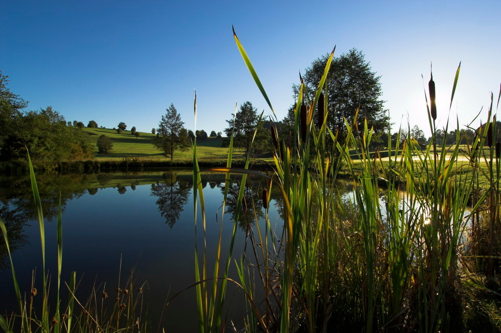 Golfpark Böhmerwald